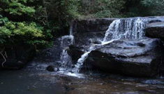 Coimbatore - Ooty - Kodaikanal - Coimbatore